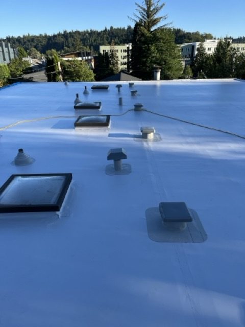 Commercial PVC flat roof with skylights - Seattle