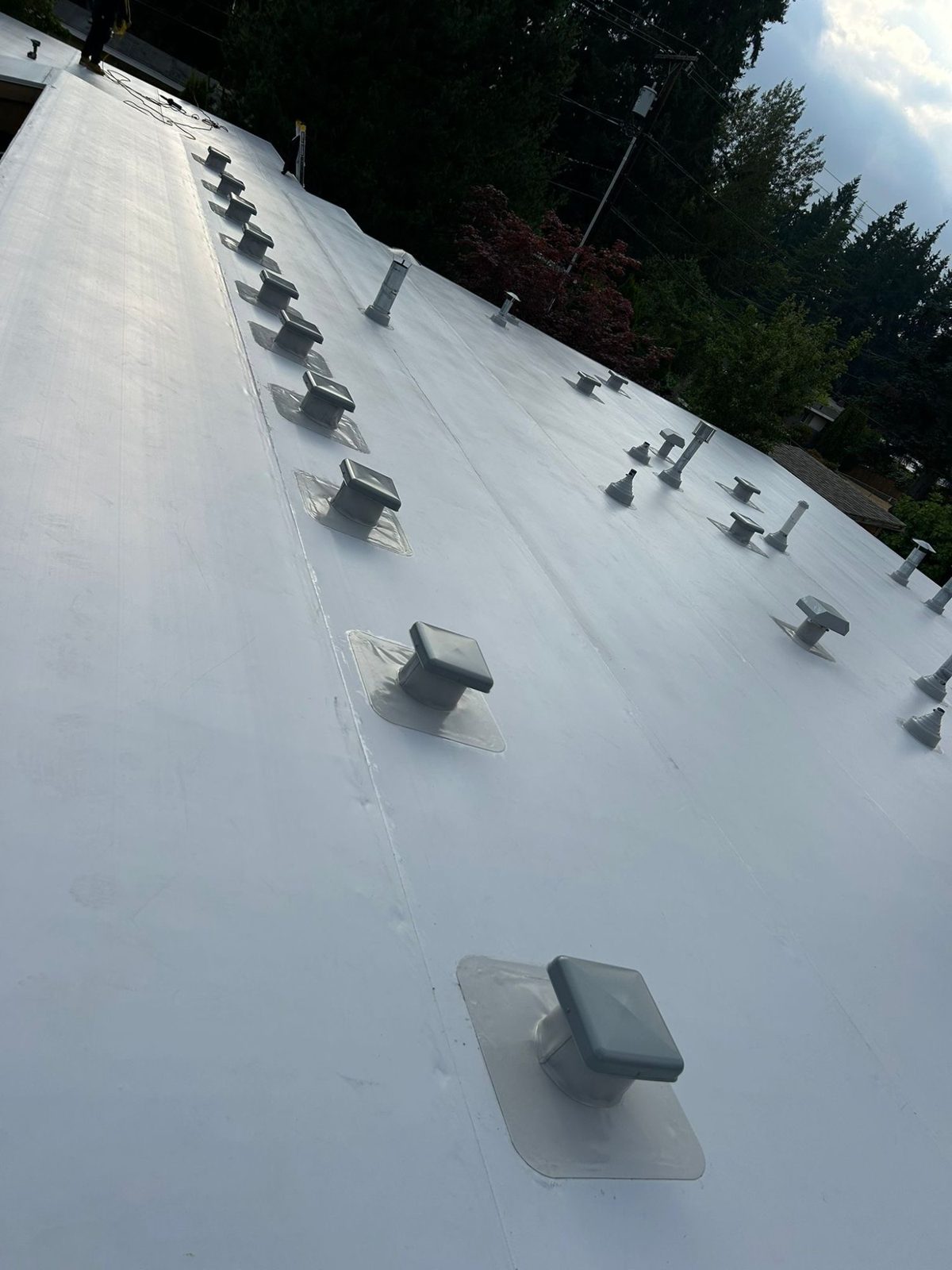 PVC flat roof with vent penetrations detail