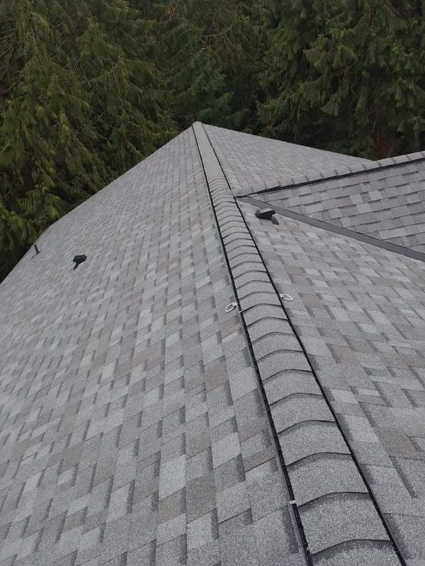 Gray shingle roof with ridge cap - Pacific Northwest